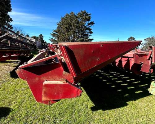 Girasolero Maizco de 12 a 70 - Financiado a 2 Años