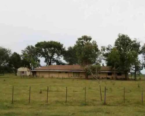 Campo Sobre Ruta en Saladillo