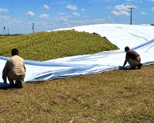 Manta para Silo Torta - Lasna Insumos