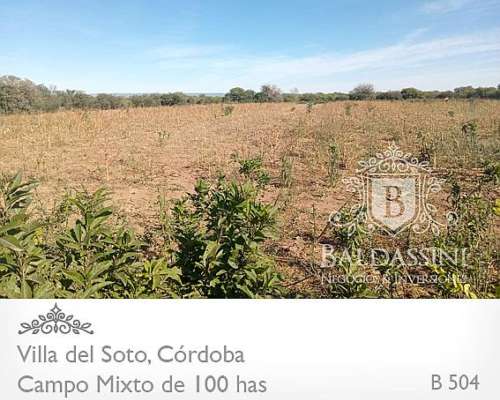 Campo Mixto - Villa del Soto - Córdoba - 100 Has