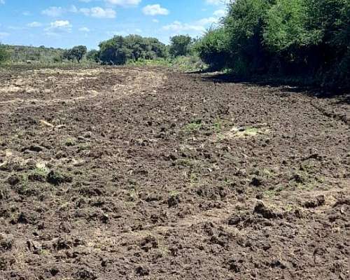 Zona Villa de Soto Campo Ganadero