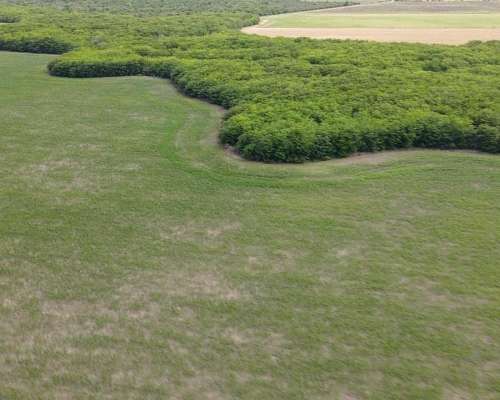 525 Hectáreas Agrícolas Sobre Ruta, San Marcial.