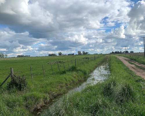 Chacra en Benito Juárez