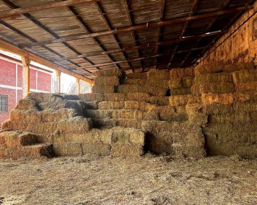 Vendo 71 Hcts, Alfalfa. con Maquinaria Completa Incluida