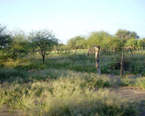 Venta de Campo en Valle Fértil, San Juan 7500 Hectáreas