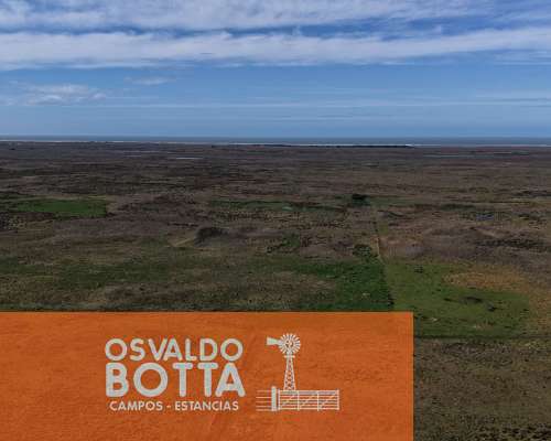 Campo Mixto en Venta, 800has en Coronel Dorrego, BS AS