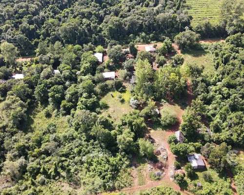 Chacra en Santo Pipo, 44 Ha Forestación, Yerba y Monte
