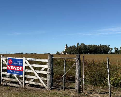 Campo Agrícola 134 Ha Carlos Tejedor Inmobiliaria Giacomino