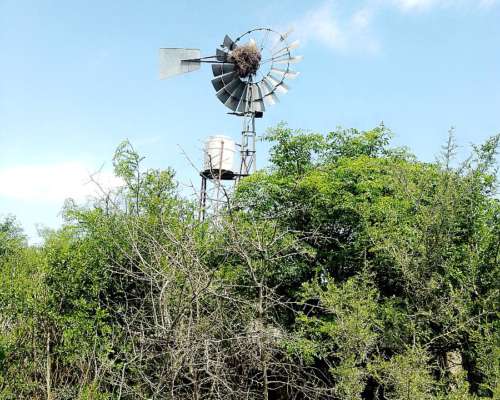 Campo Mixto Excelente Oportunidad