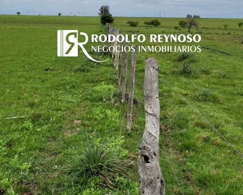 50 HA. en Agrícolas - Ganaderas