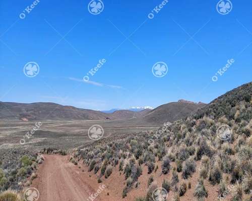 Campo en Venta 4394 Has en las Bayas, Bariloche. Ganadero.