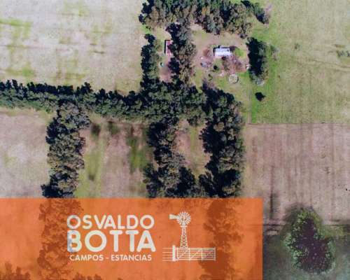Campo en Venta 393has Mercedes, Buenos Aires