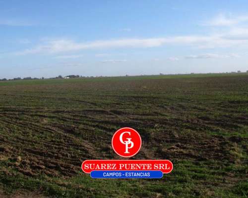 En Venta 600 Has Guatrache, la Pampa.-