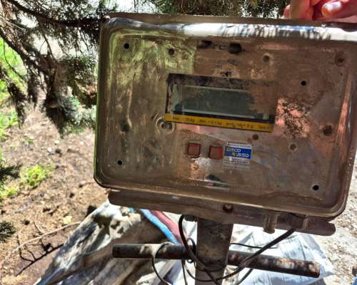 Báscula de Plataforma Digital Capacidad 5 Toneladas