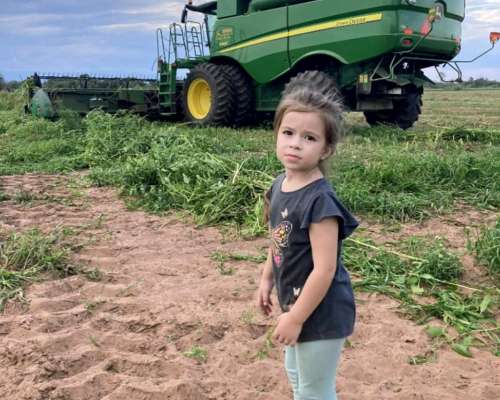 Finca 719 Has en Anta (salta) con Agua, Casa e Invernaderos