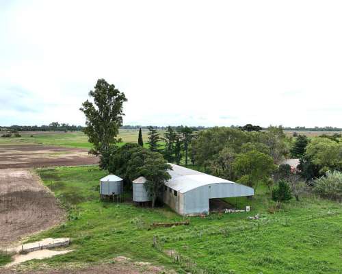 140 Has. Campo Mixto con Mejoras y Arboleda en Mercedes
