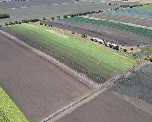 Mar del Plata, Buenos Aires - 80 Ha