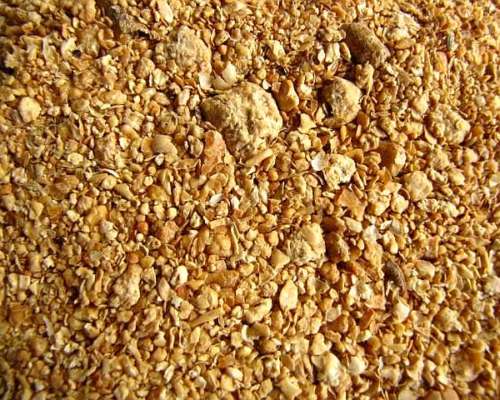 Soybeans Meals for Both Humans AND Animals Consumption