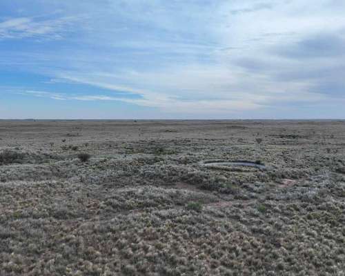 Pcia. de la Pampa - Santa Isabel 20000 Ha