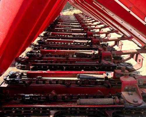 Se Vende Ombu Impecable