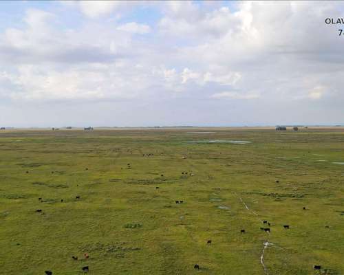 Campo Venta Olavarria 878 Ha Ganaderas