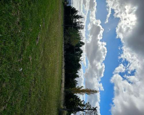 Lotes Sobre Ruta 86 y Circunvalacion Necochea