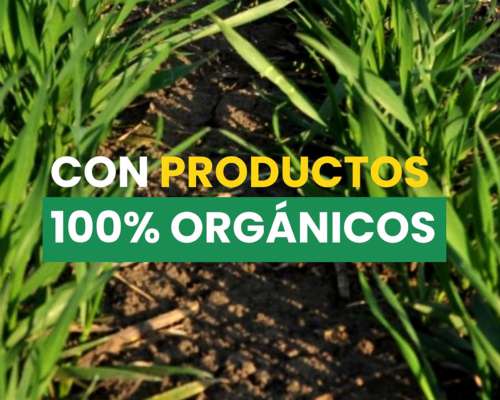 Tecnogreen Fertilizante Foliar Orgánico X 20 Lts