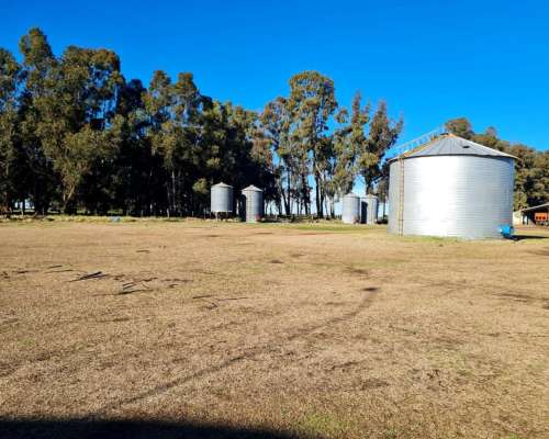 Venta: Campo de 690 Hctas 100 % Agri en Ruta 3, Bahía Blanca