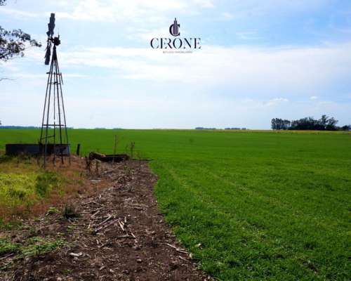 Venta - Campo - 12 Hectareas - Mechongue