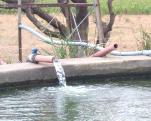 Liborio Luna 430 Has