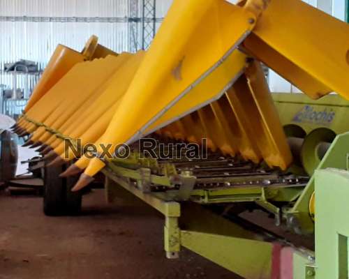 Maicero Allochis 14/52, 2008. Bajo Galpon.