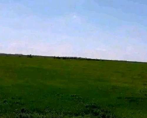 208 Hectáreas Mixtas, Viamonte - CBA