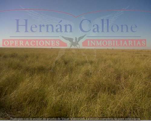 Campo Ganadero 5560 Ha en SUR de Santiago del Estero