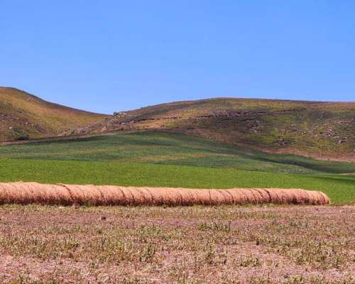 Pcia. de Catamarca - Singuil 5816 Has