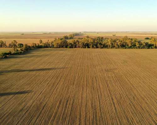 Vendo 400 Has Agrícolas