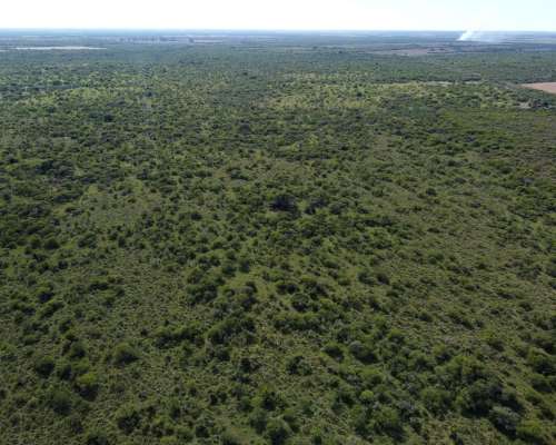 594 Has muy Buen Campo Ganadero en Venta Dpto. Federal