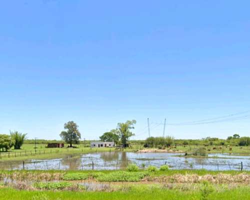 62 Hectáreas Mixtas . Sobre Ruta N463