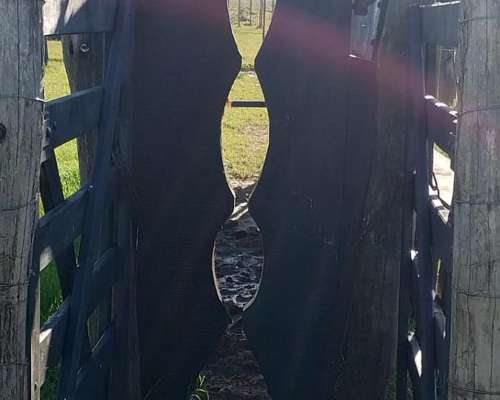 Loma Verde - 83 Ha - Buenos Aires