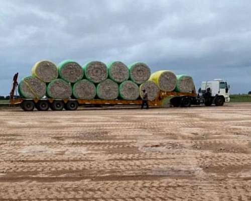 Campo Mixto 2.000ha - las Avispas Santa FE