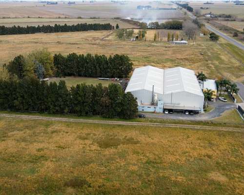 Nave Industrial en Alquiler 2.500 M2 Cubiertos en Arequito