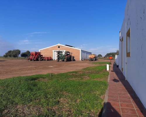 15635 Hectareas Entre Malbran y Bandera