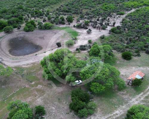Campo Mixto en Venta- 3.068 Ha en San Pedro Norte, Córdoba