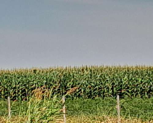 822 Has Agríc Total Soja,maíz Trigo Producc en Zona Buchardo