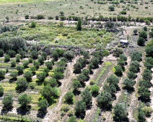 Finca Orgánica de 32 Sobre Ruta 7