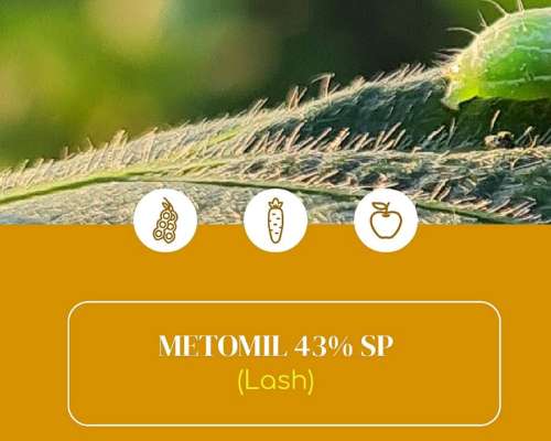 Metomil - Lash (atanor)