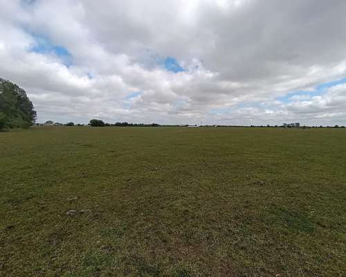 Campo de 20 Hectáreas Aptas Loteo
