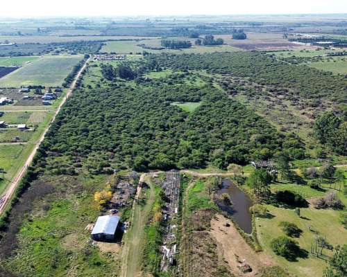 Vendo Lote de 2 Has con Casas en San Justo, Entre Ríos.