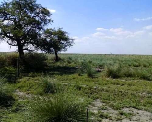 Se Vende Y/O Alquila Campo en Provincia de Santa FÉ