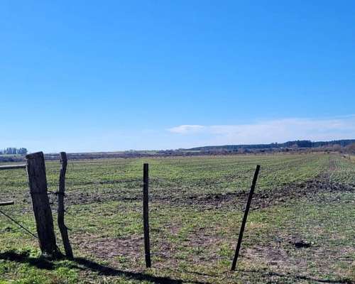 2 Campos de 24 Hectáreas C/U