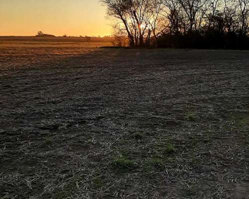 59 Has Agrícolas en Pergamino Suelo 1